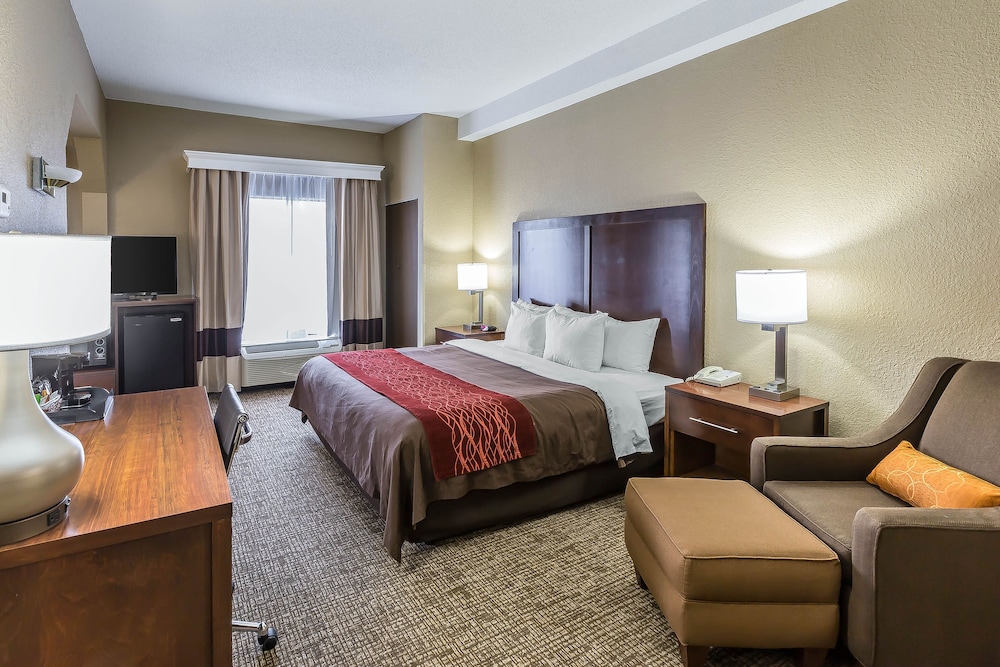 Standard Room, 1 King Bed with Sofa bed, Non Smoking (Shower Tub) photo 2