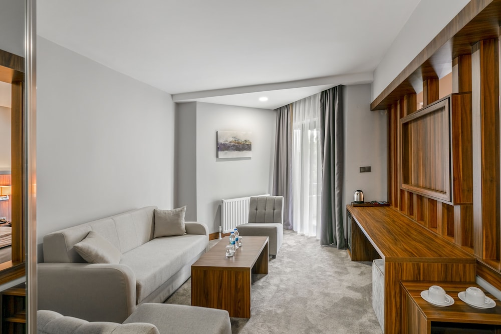Junior Suite, Balcony, City View