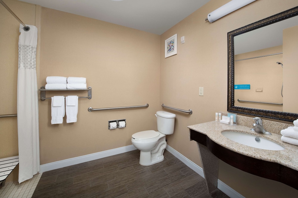 Suite, 1 King Bed, Accessible (Roll-In Shower) - Photo 4