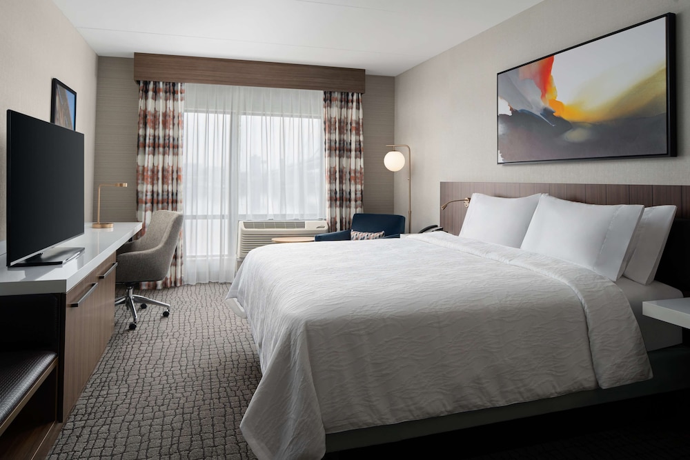 Room, 1 King Bed, Accessible (Roll-In Shower) - Photo 3
