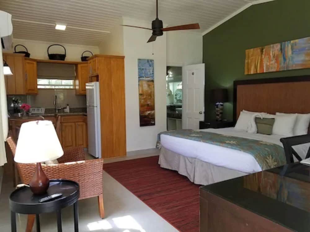 Superior Studio, 1 King Bed, Kitchenette, Garden View