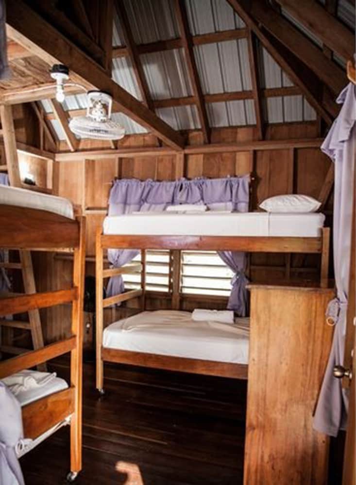 Standard Shared Dormitory, Multiple Beds, Non Smoking photo 1