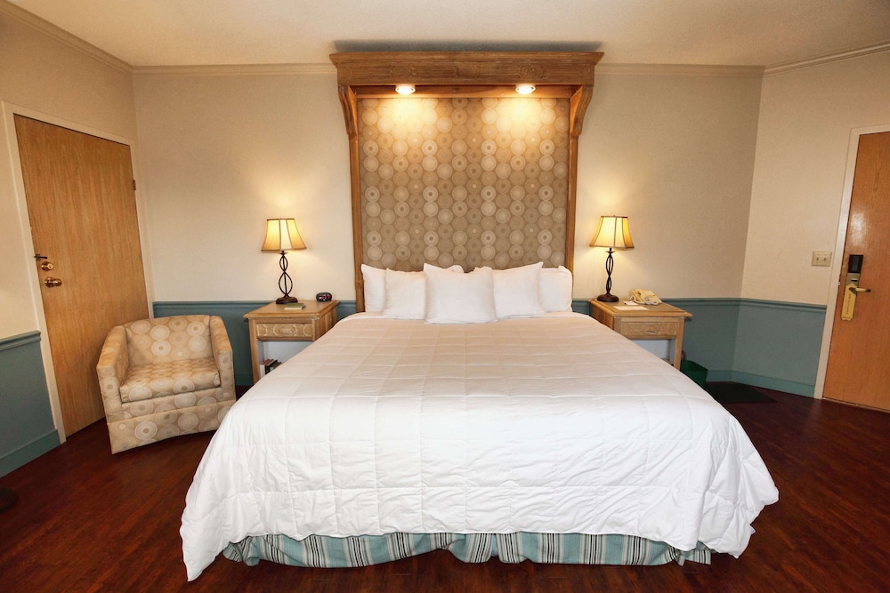 Traditional King Room - Photo 7