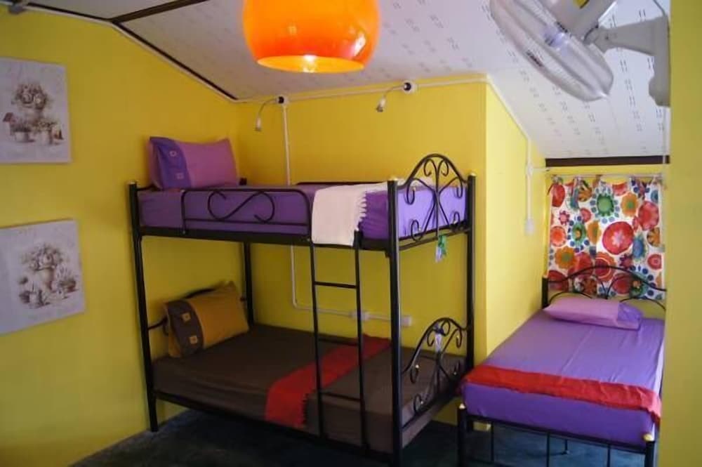 Shared Dormitory, Mixed Dorm (1 Bed)