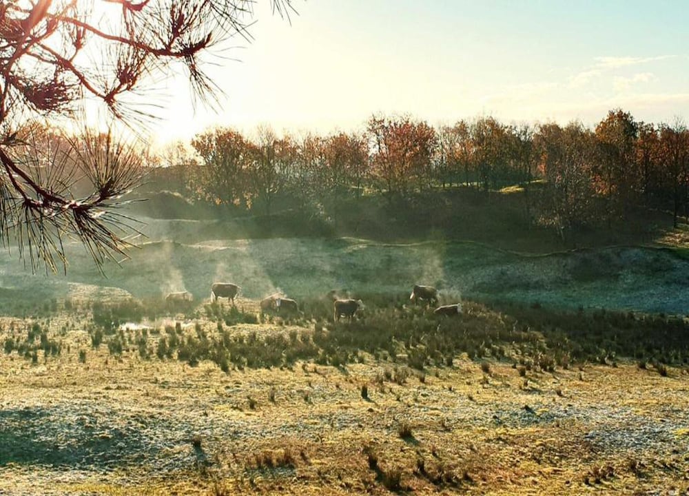 House photo 3