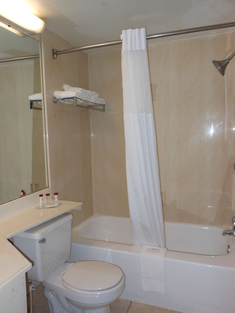 Room, Multiple Beds, Non Smoking - Photo 4