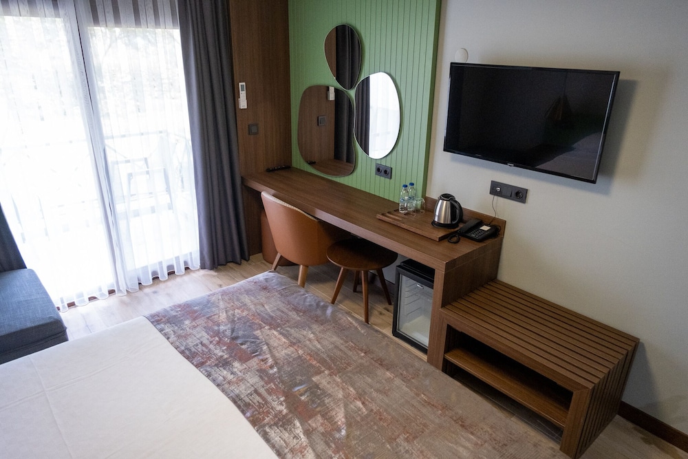 Deluxe Double or Twin Room photo 3