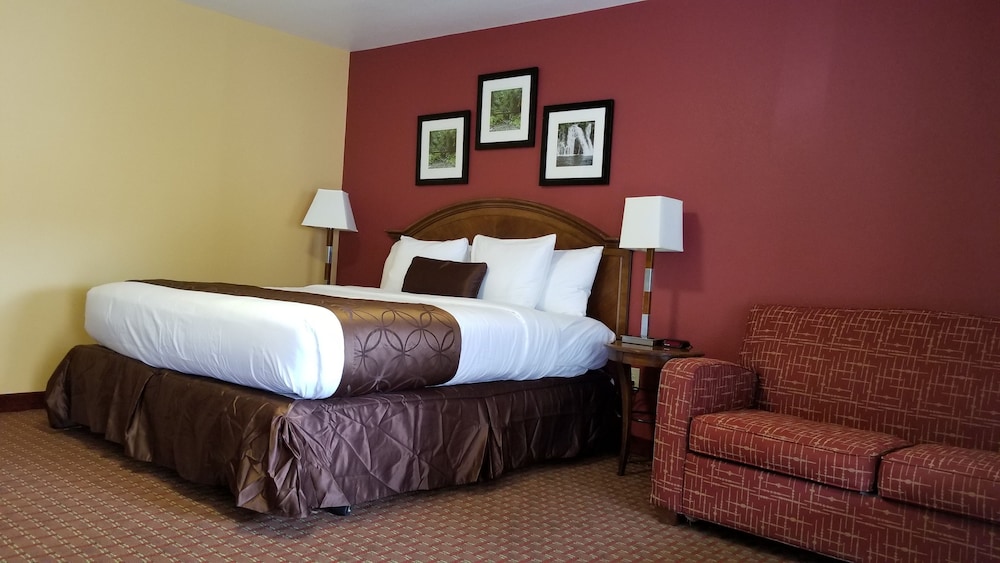 Deluxe Room, 1 King Bed, Refrigerator & Microwave photo 1