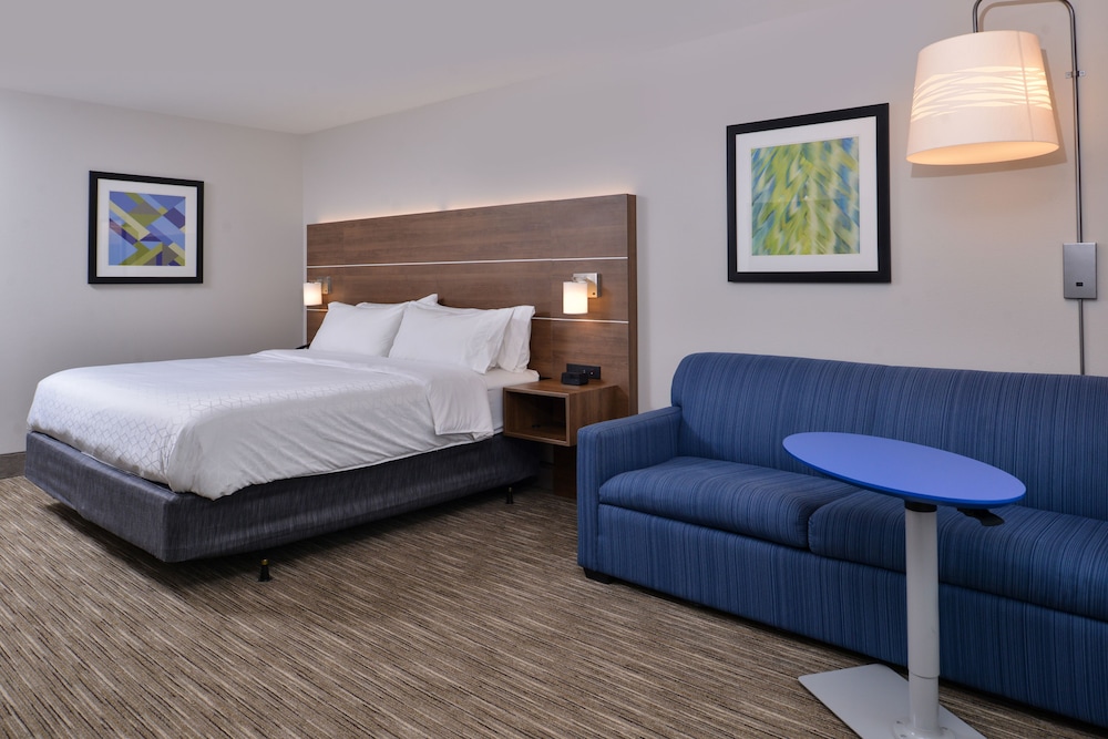 Suite, 1 King Bed photo 3