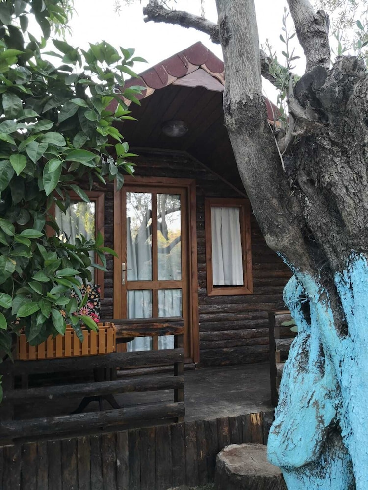 Business Tree House, 1 Queen Bed, Fireplace, Courtyard View photo 3