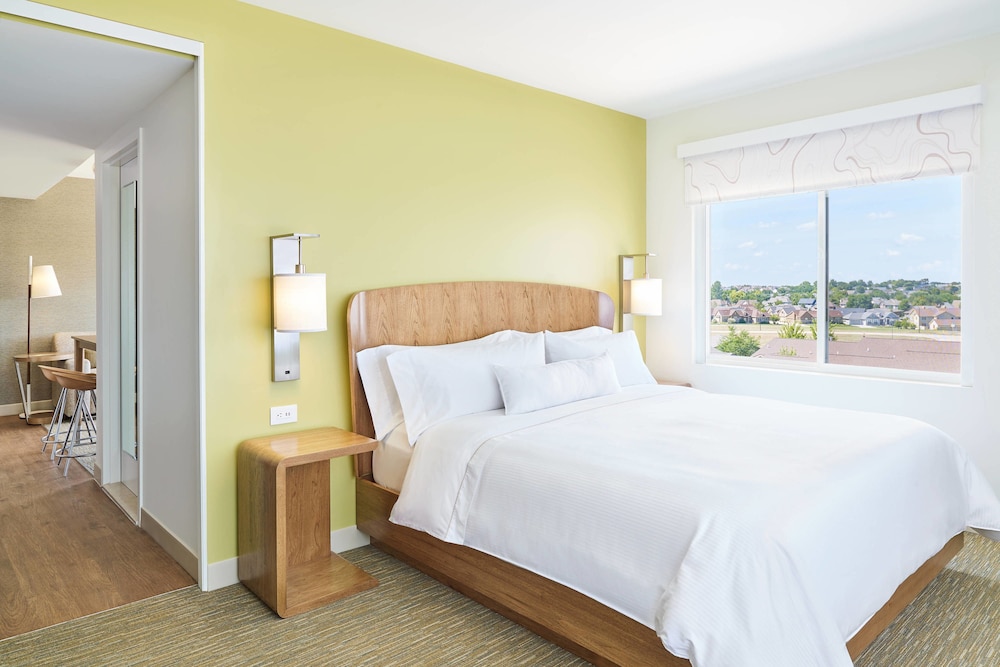 Suite, 1 King Bed with Sofa bed