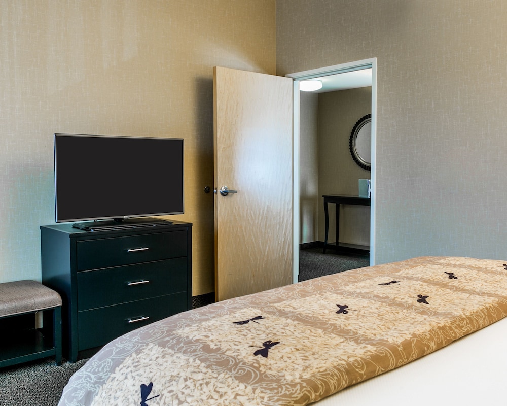 Suite, Multiple Beds, Accessible, Non Smoking - Photo 5