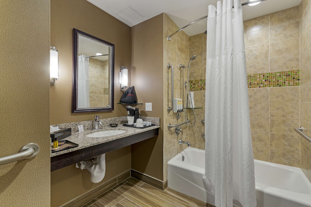 Business Room, 1 King Bed, Accessible, Bathtub photo 3