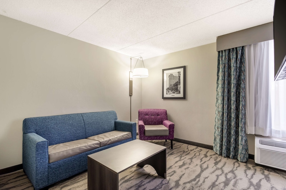 Suite, 1 King Bed, Non Smoking, Refrigerator & Microwave (Living Room;with Sofabed) - Photo 4