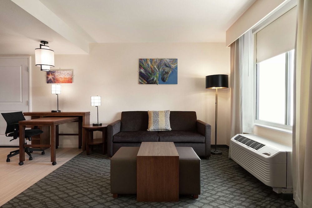 Studio, 1 King Bed, Accessible (Roll-in Shower)