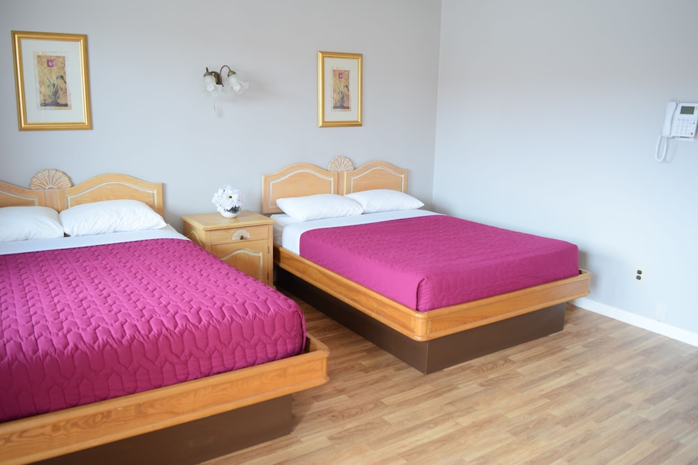 Superior Double Room photo 1