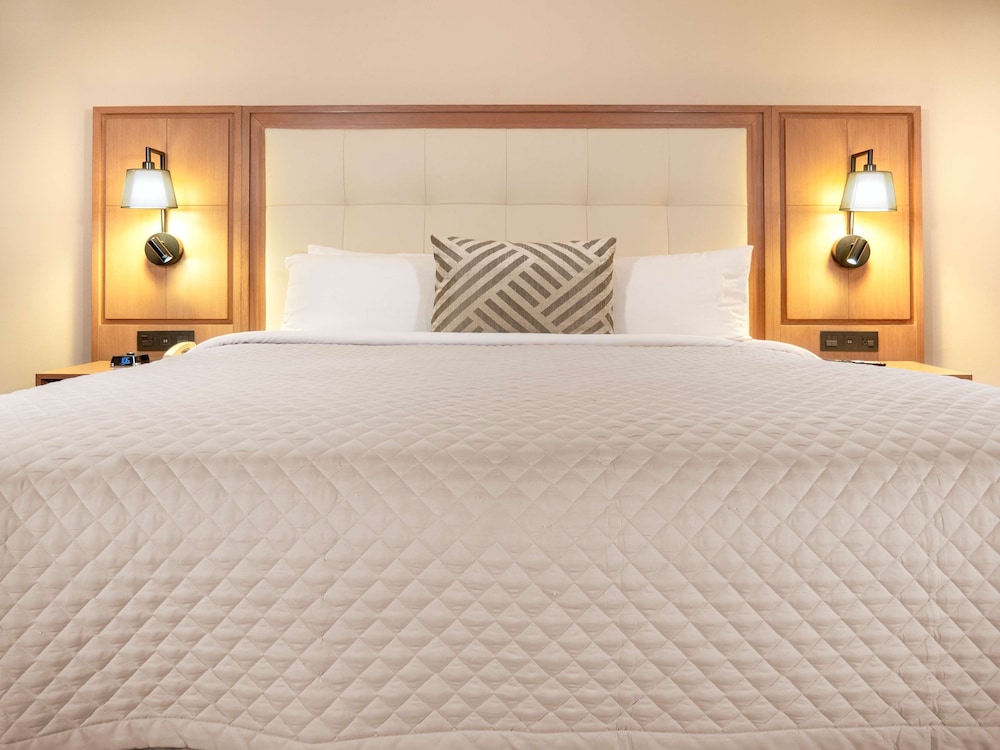 Superior Room, 1 King Bed, Accessible - Photo 7