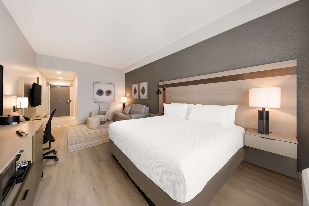 Suite, 1 King Bed, Accessible, Refrigerator & Microwave (with Sofabed) - Photo 2