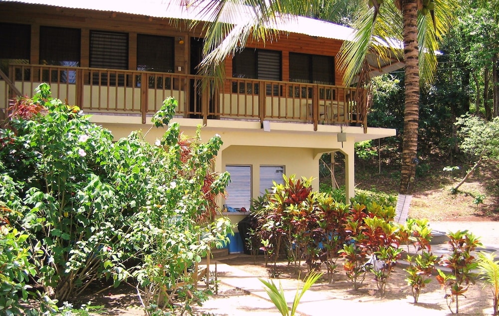 Basic Double Room, Multiple Beds photo 2