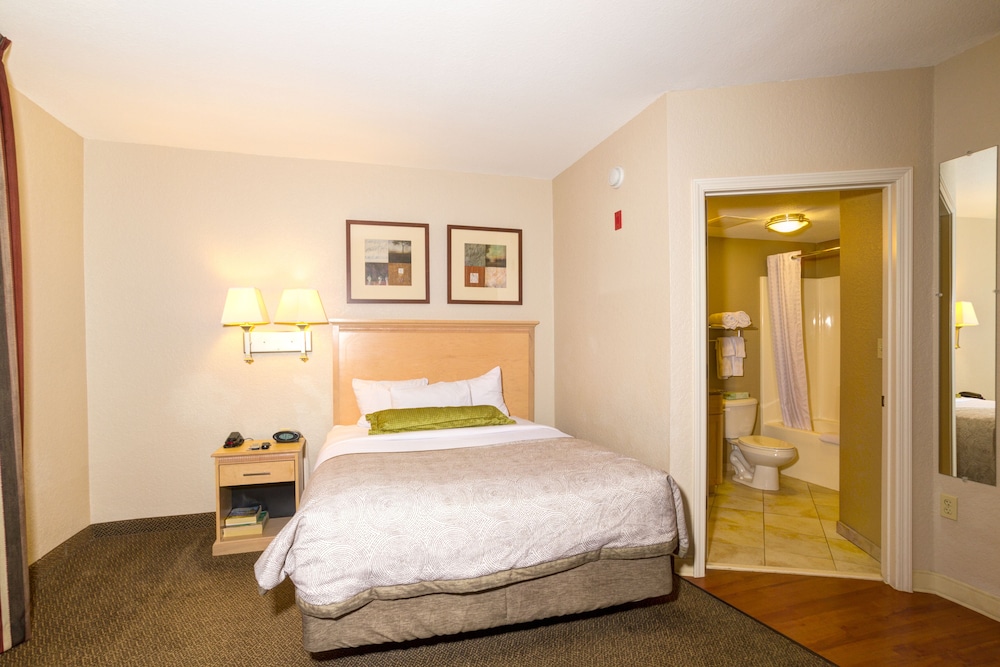 Studio Suite, 1 Queen Bed - Photo 5
