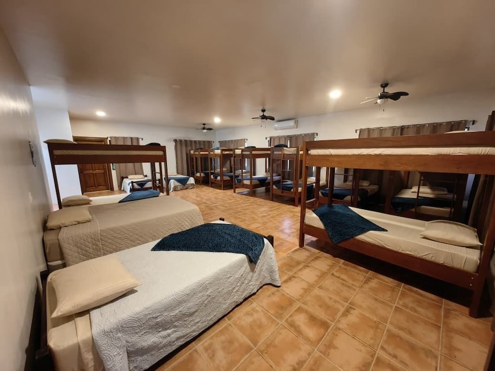 Comfort Shared Dormitory photo 1