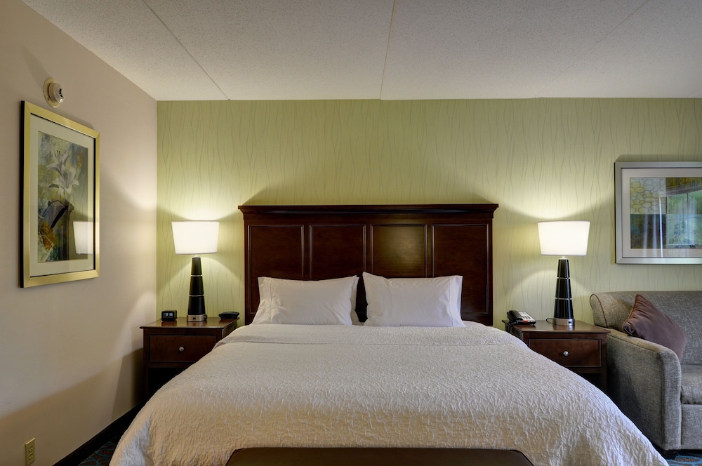 Room, 1 King Bed, Non Smoking (Large) - Photo 2