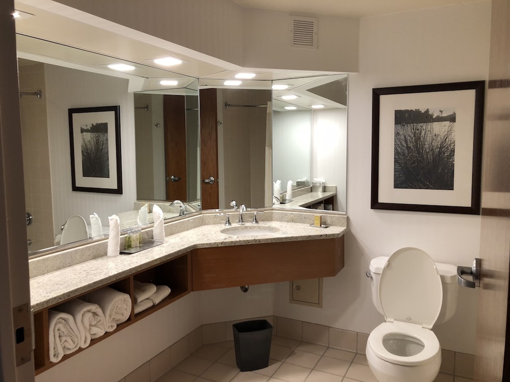 Deluxe Room, 1 King Bed, Accessible, Non Smoking - Photo 4