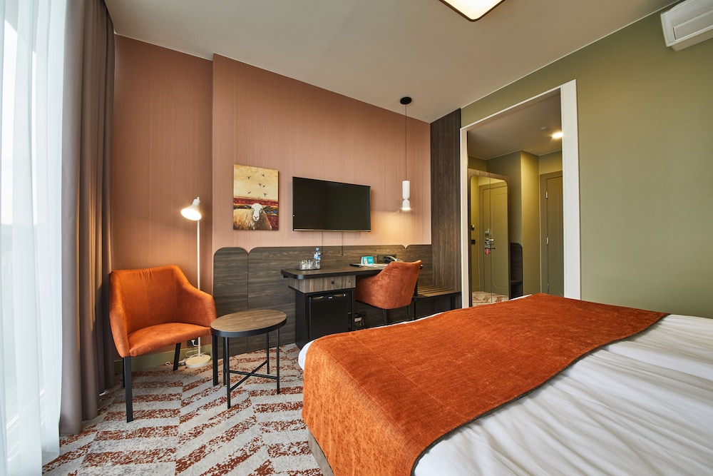 Deluxe Double or Twin Room - Photo 8