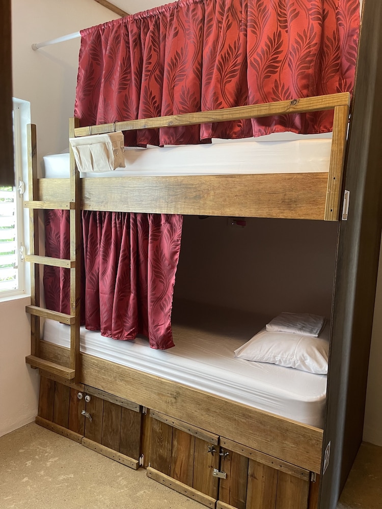 Basic Shared Dormitory photo 1