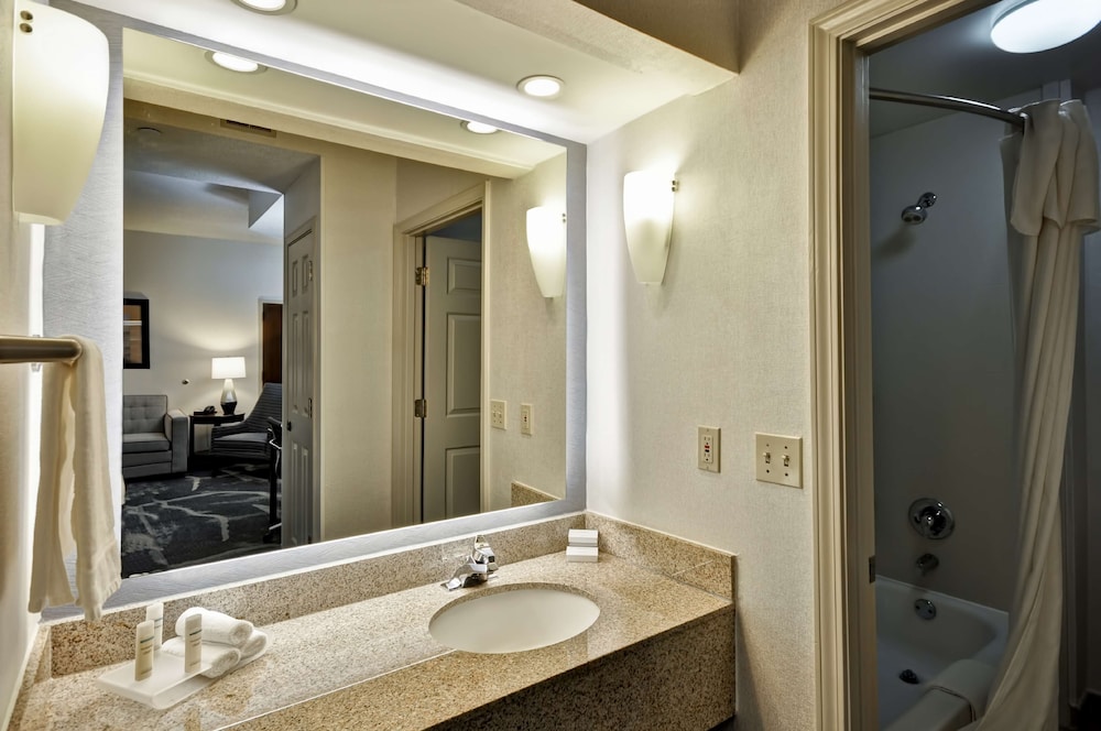 Suite, 1 Bedroom photo 2