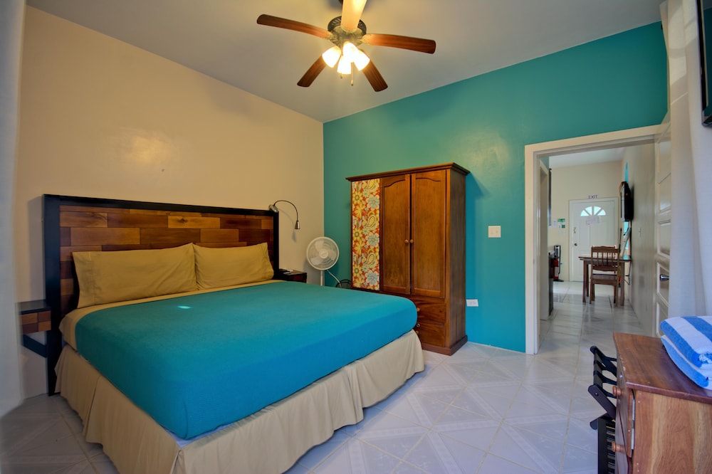 Deluxe Apartment, 1 King Bed, Non Smoking, Kitchen photo 3