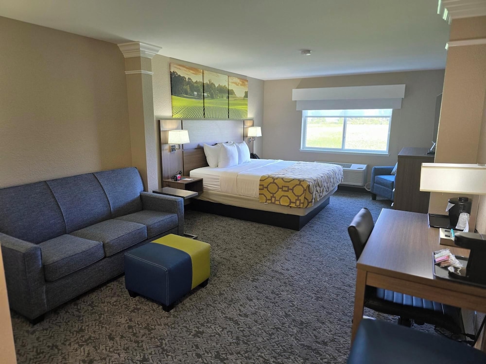 Suite, 1 King Bed, Non Smoking - Photo 4