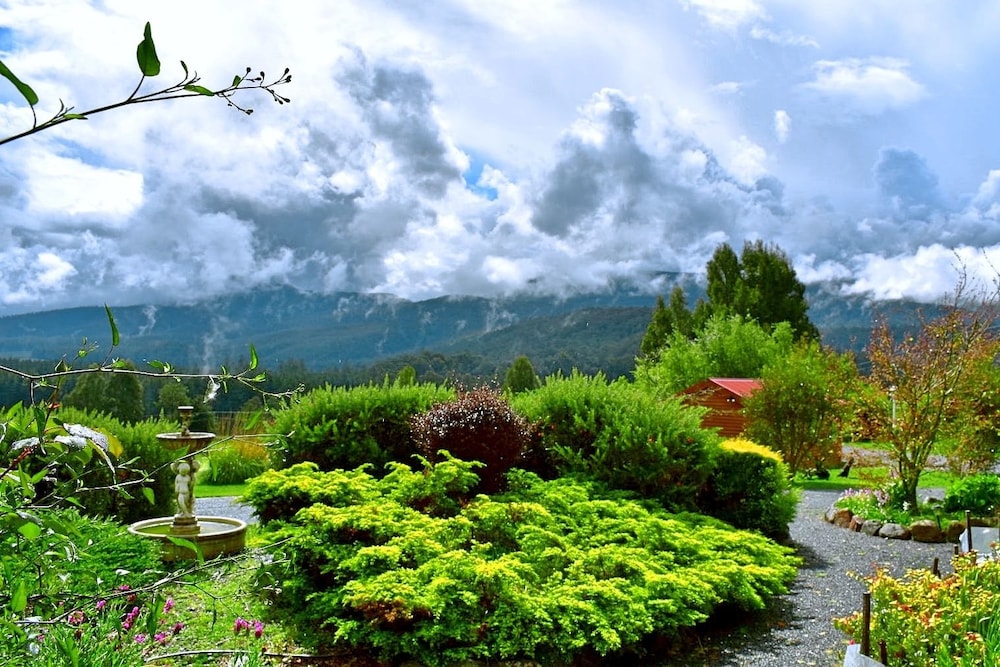 Superior Apartment, 1 Bedroom, Mountain View photo 2