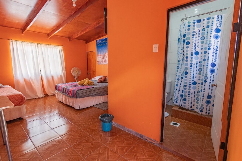 Traditional Room photo 2