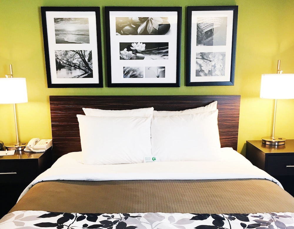 Standard Room, 1 Queen Bed, Non Smoking - Photo 2