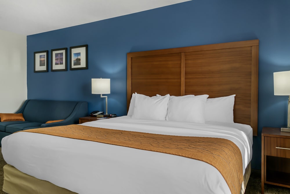 Suite, 1 King Bed, Jetted Tub - Photo 5