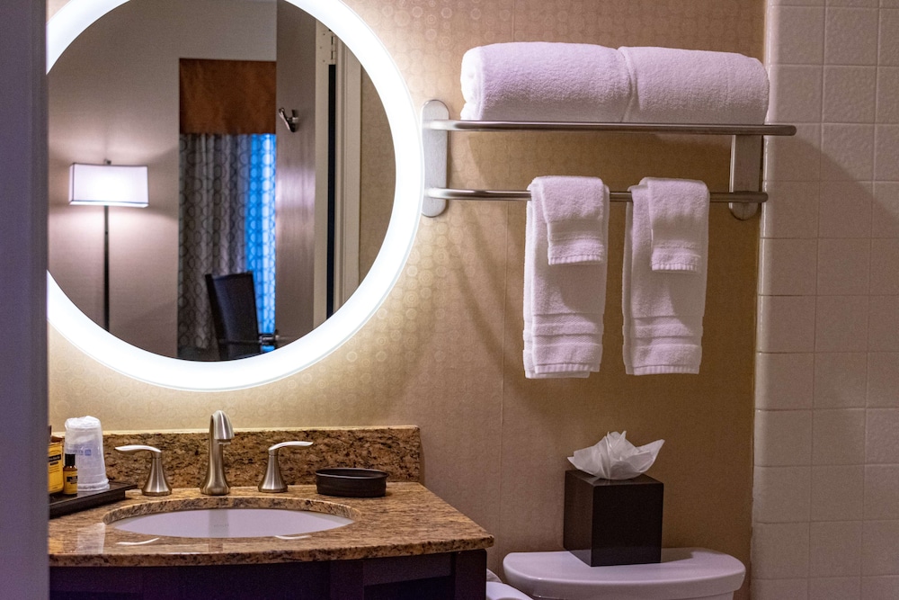 Suite, 1 Double Bed, Accessible, Bathtub (With Sofabed) - Photo 6