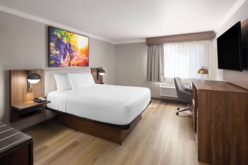 Room, 1 Queen Bed, Accessible, Non Smoking (Mobility/Roll-In Shower) - Photo 1