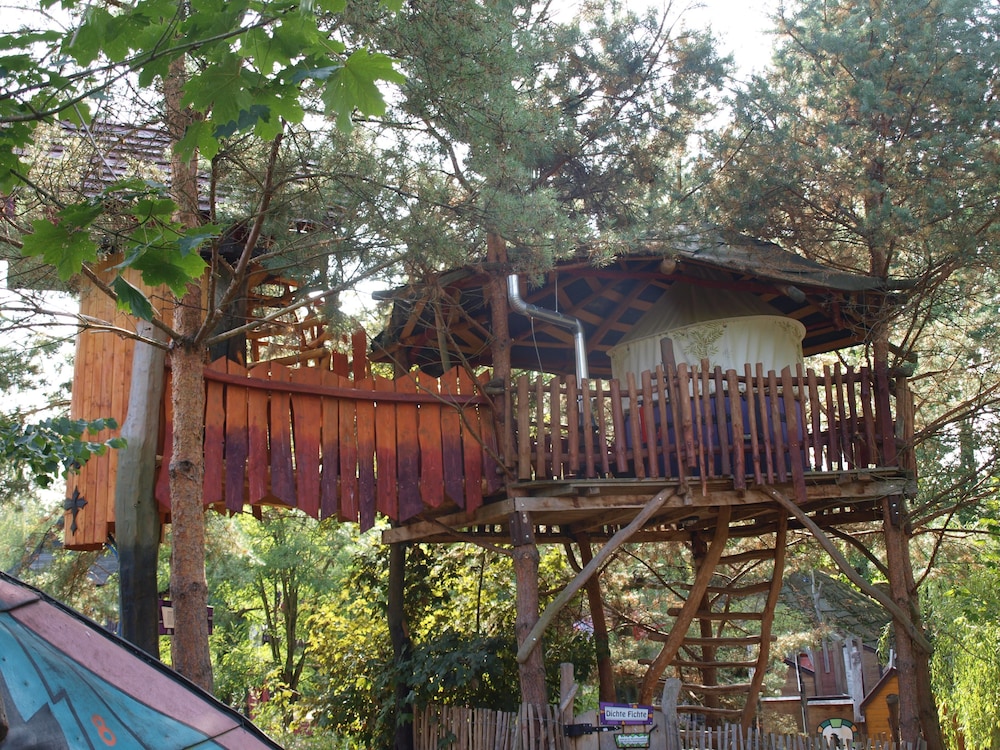 Comfort Tree House photo 2