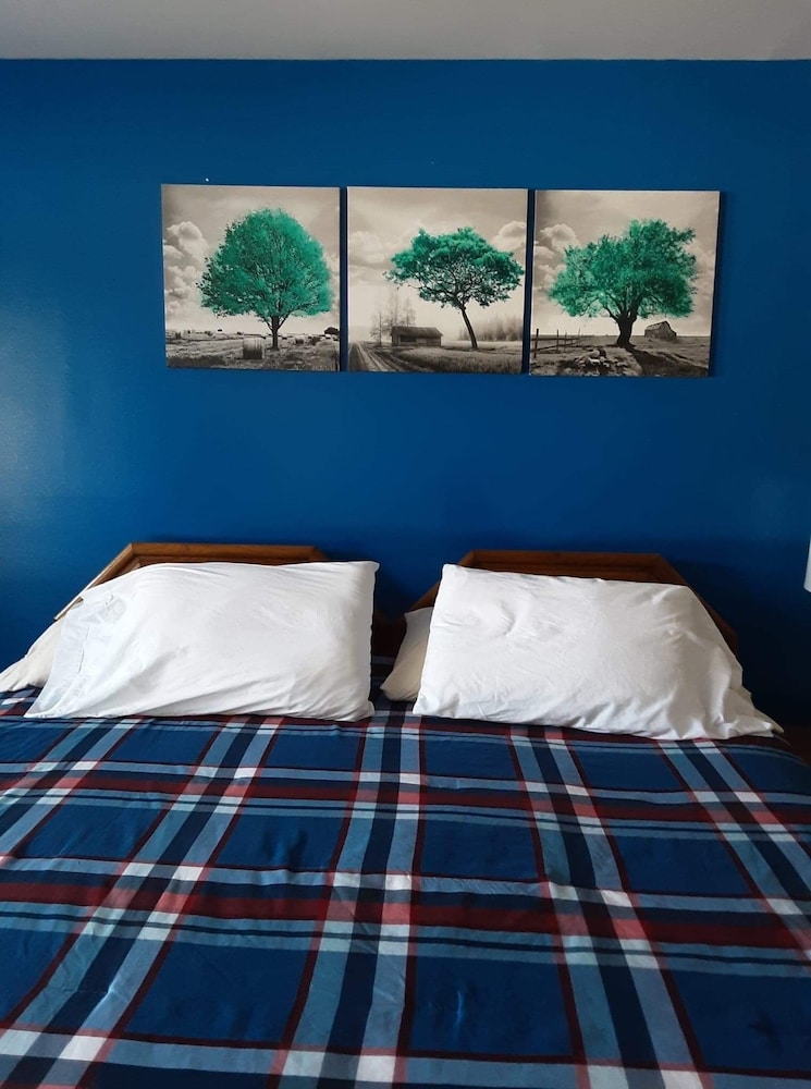 Room, 1 King Bed photo 2