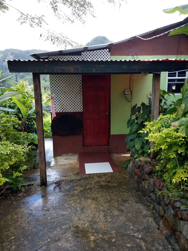 Basic Cabin (Mango) photo 2