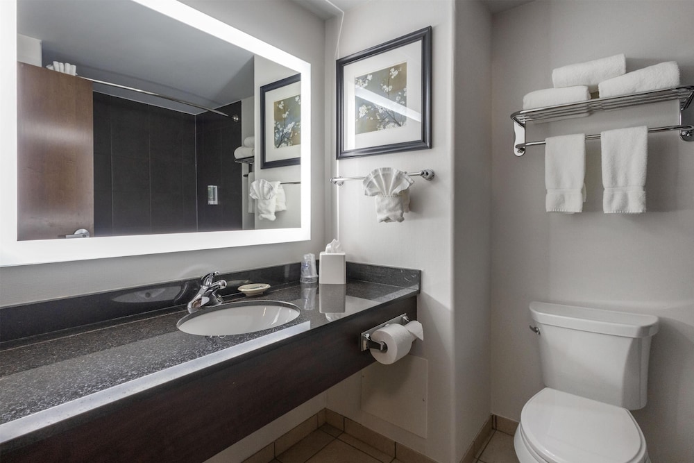 Standard Room, 1 King Bed, Non Smoking, Refrigerator & Microwave (Dining Table) - Photo 4