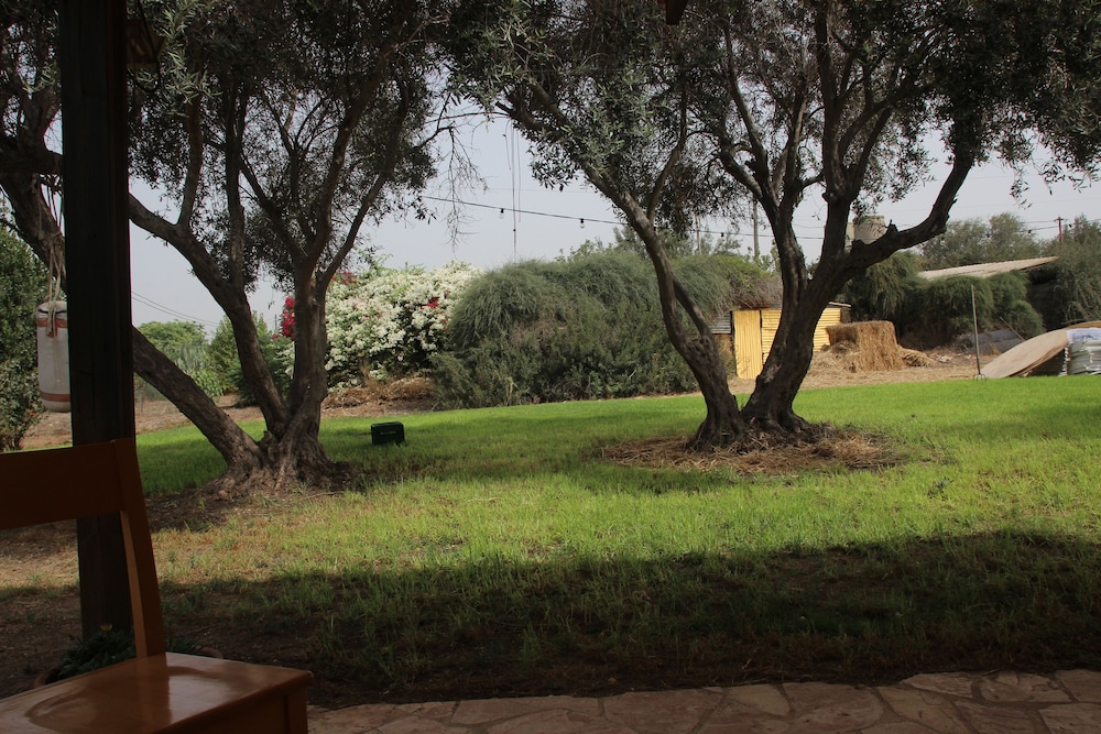 Basic Bungalow, 1 Bedroom, Garden View photo 2
