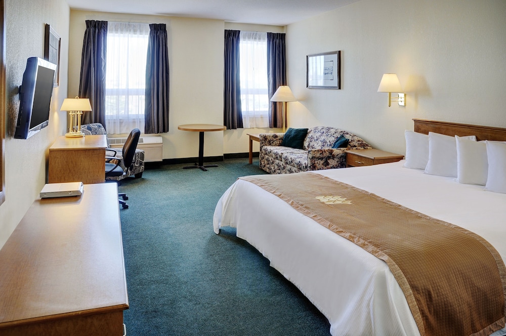 Standard Studio Suite, 1 Queen Bed photo 1