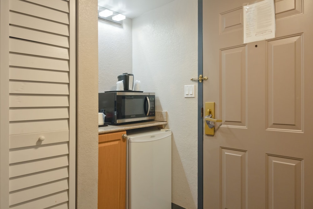 Studio Suite, 2 Queen Beds photo 3