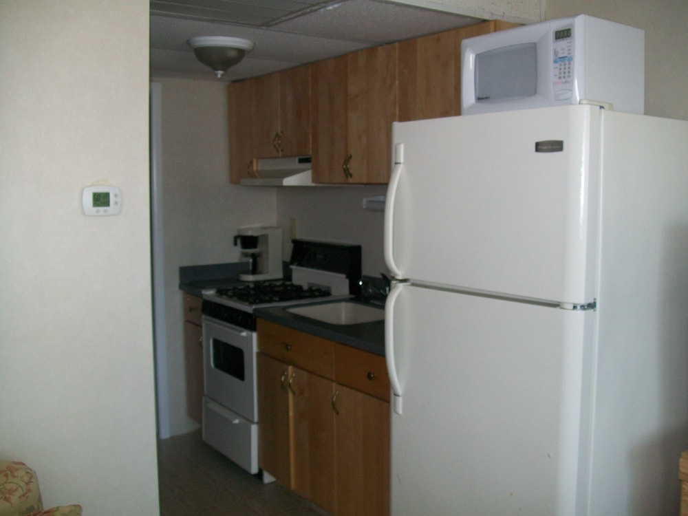 Suite, 1 Bedroom, Kitchenette photo 3