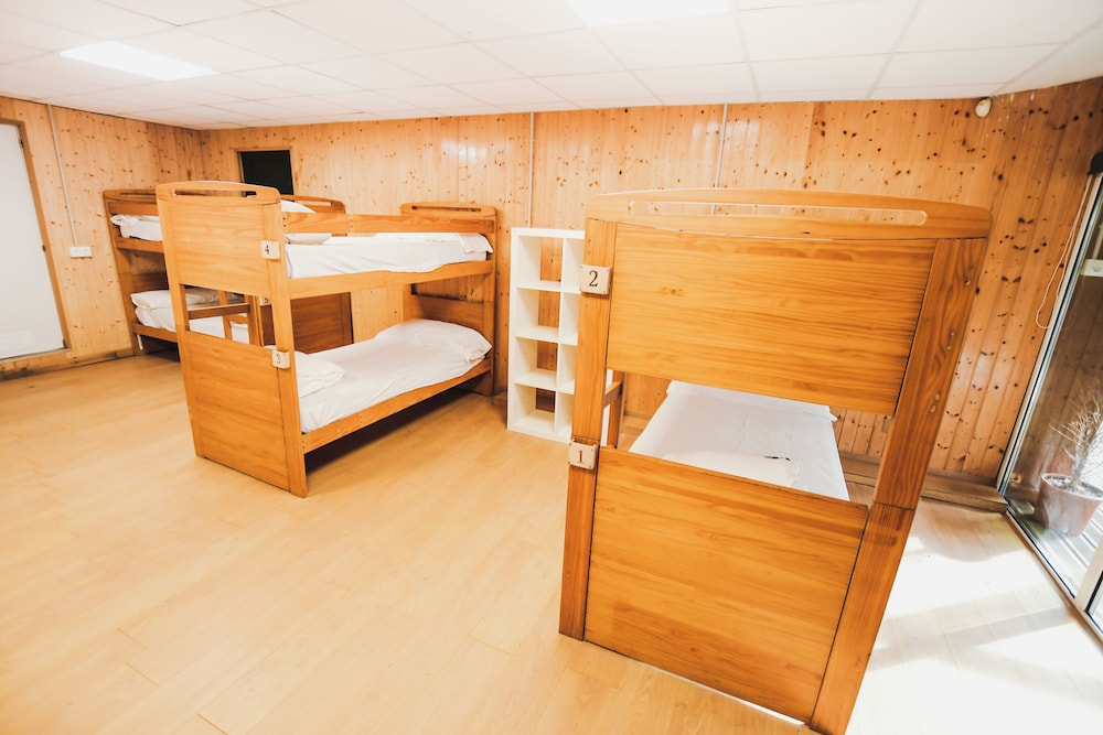 Shared Dormitory (Bed in 10-bed)