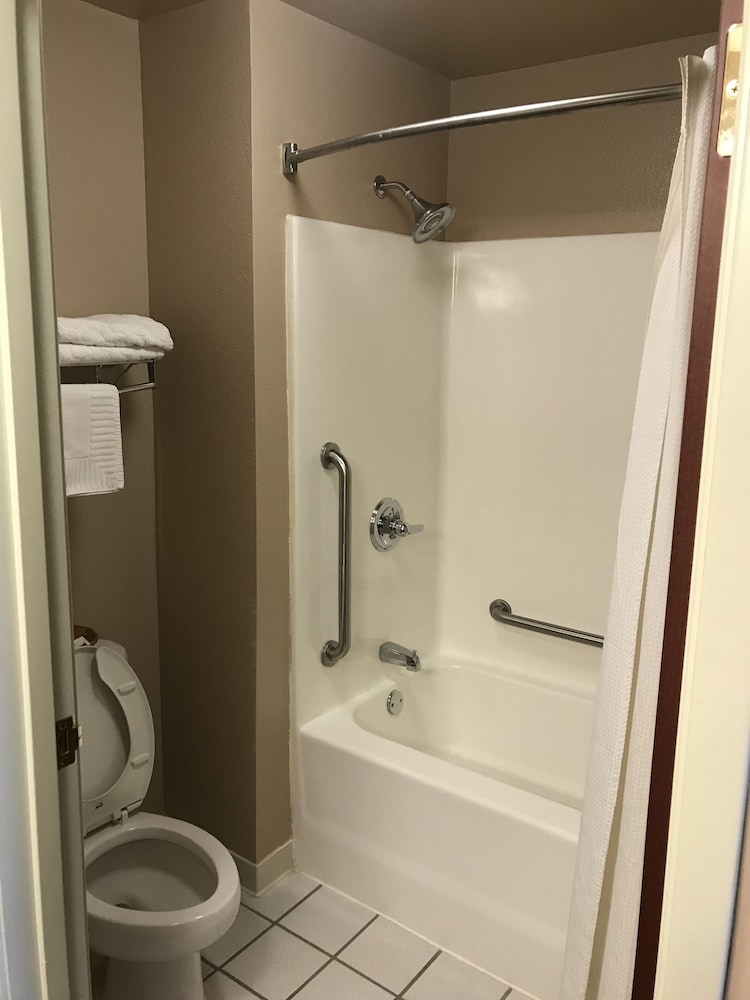 Junior Studio Suite photo 3