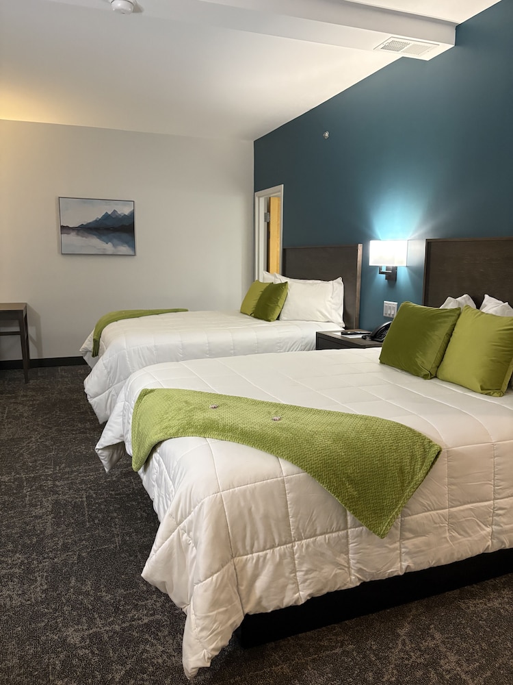 Standard Single Room, 2 Queen Beds, Non Smoking photo 1