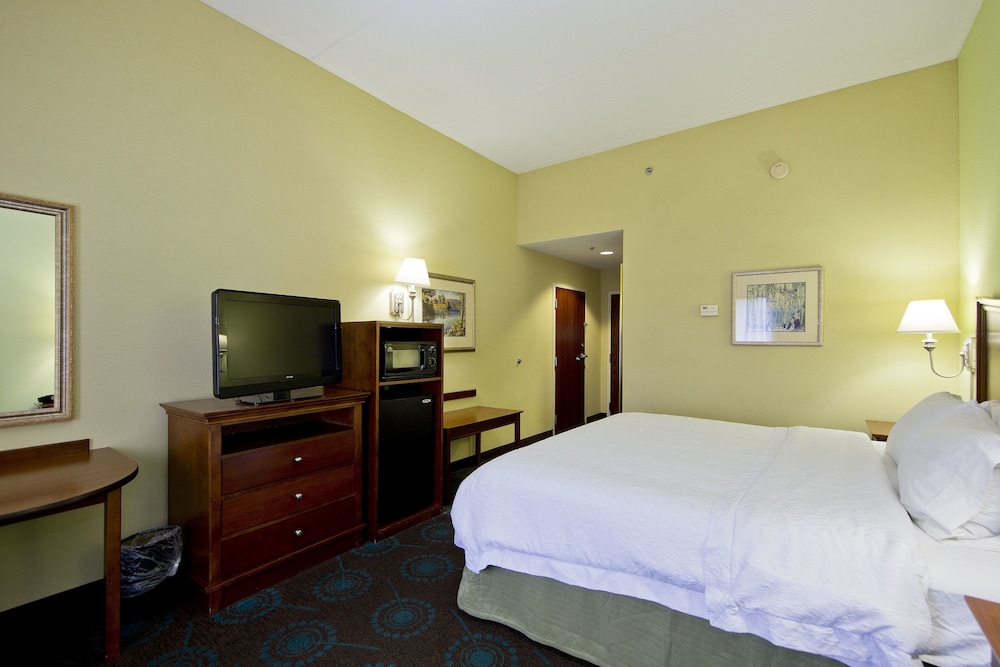 Room, 1 King Bed, Accessible - Photo 4